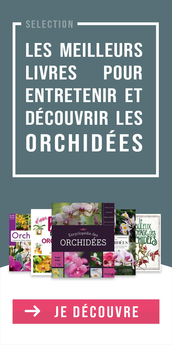 les meilleurs livres sur les orchidées