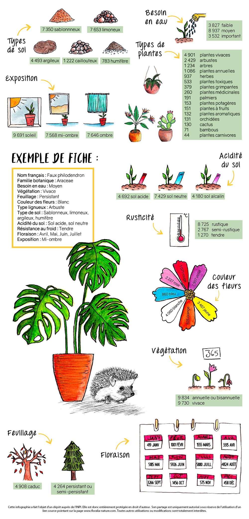 Infographie encyclopédie des plantes