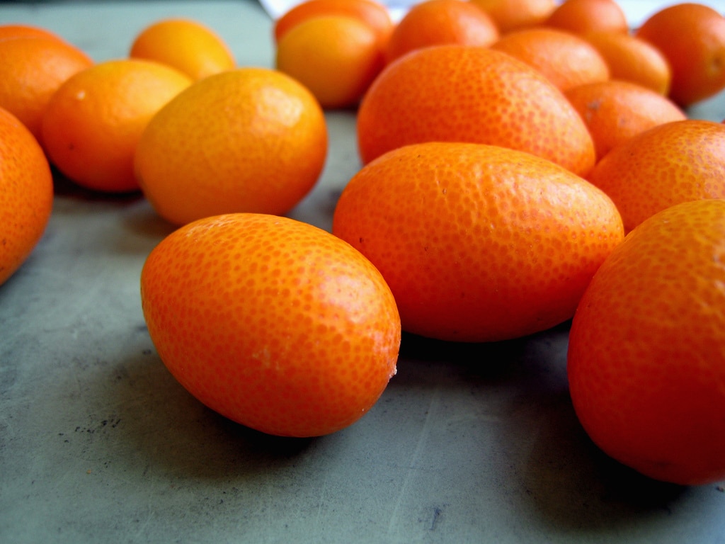 Comment manger un kumquat ? Conservation Nature