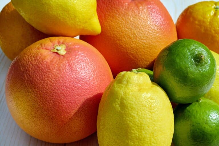 Citrus (Citrus)