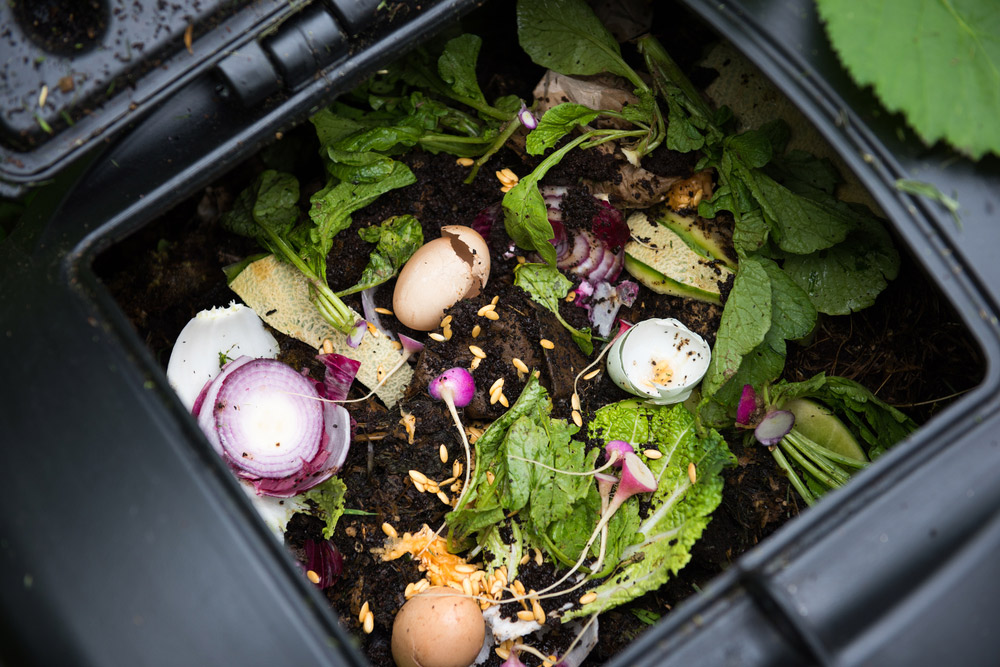 Compostage : le guide pour faire un bon compost - Conservation Nature