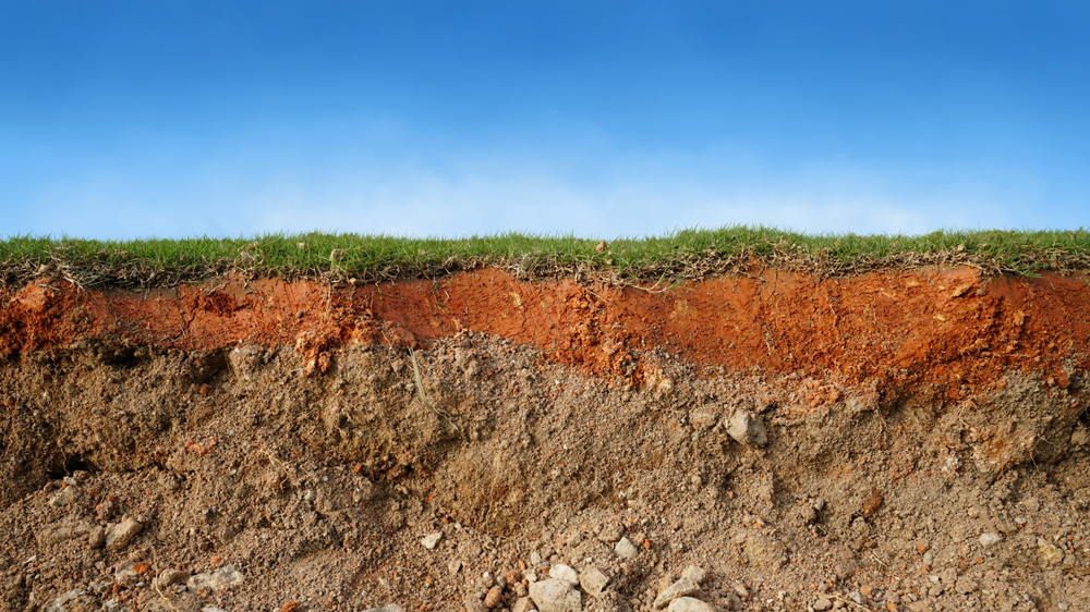 Le sol : un écosystème à part évoluant sous nos pieds