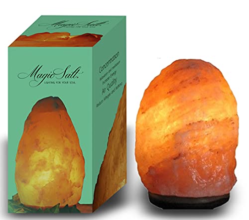 Lampe pierre de sel d’Himalaya Magic Salt Lighting for your soul