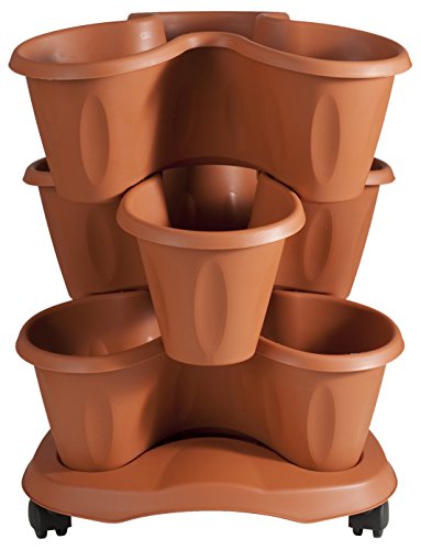 Bama 30015 - Set de pots à triple compartiment - Couleur terre cuite