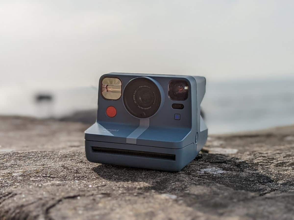 Appareil photo Polaroid Guide achat, Avis, et Comparateur 2024 Conservation Nature