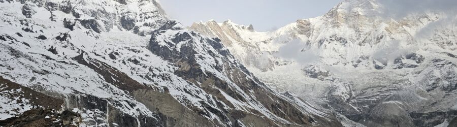 L'Himalaya : biodiversité, menaces, et conservation