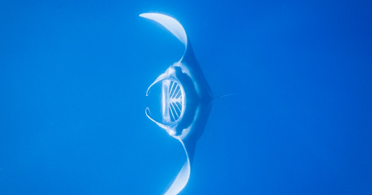 Photo : Unsplash / Unsplash