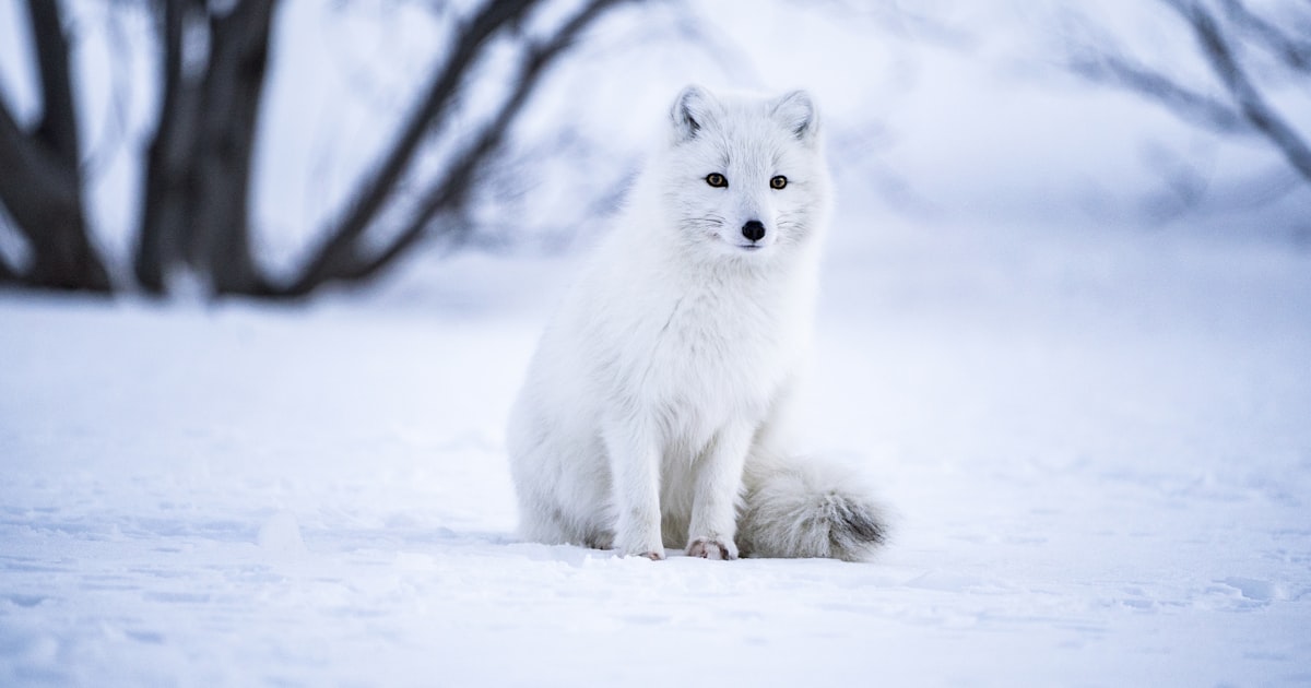 Photo : Unsplash / Unsplash