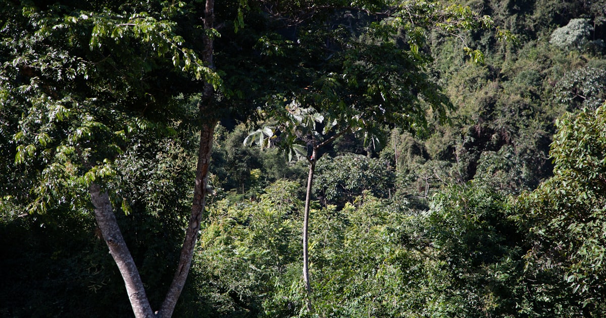 Photo : Unsplash / Unsplash