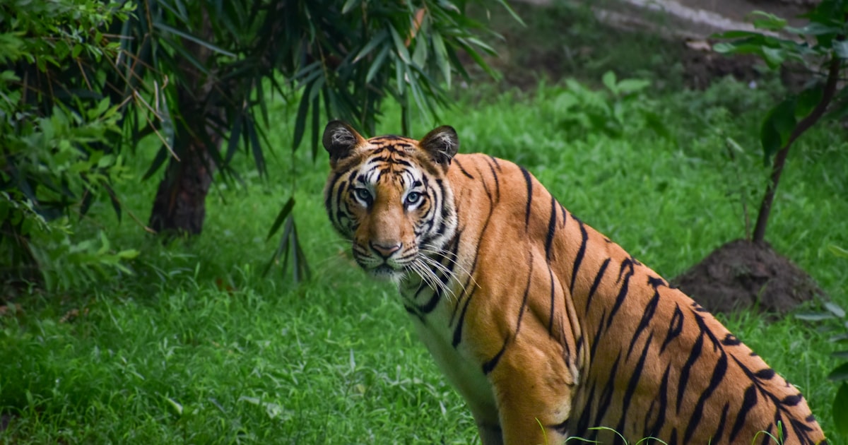 Photo : Unsplash / Unsplash