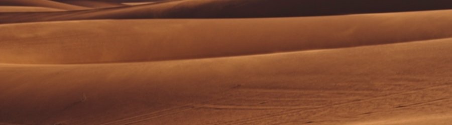 Le désert du Sahara : biodiversité, menaces, et conservation