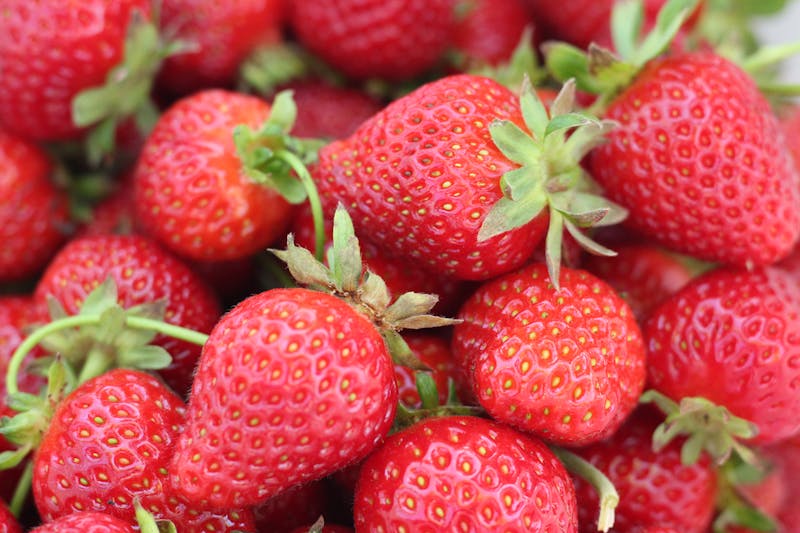 fraisier en pot avec fruits rouges