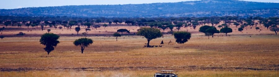 Le Serengeti : biodiversité, menaces et conservation