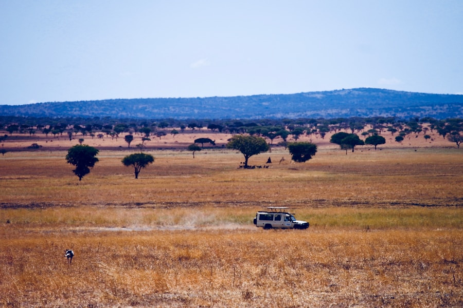 Les vastes plaines du Serengeti avec acacias et un véhicule de safari