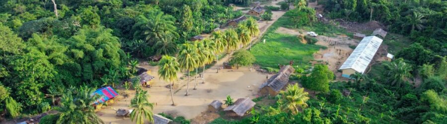 Le bassin du Congo : poumon vert de l'Afrique