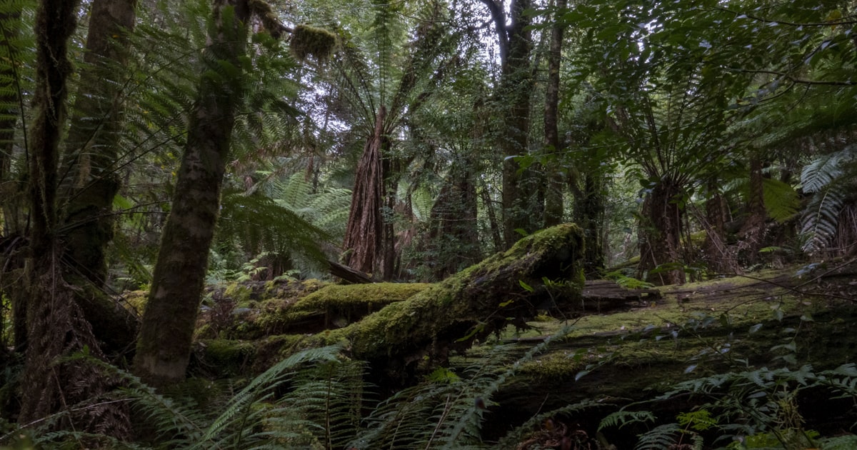 Photo : Unsplash / Unsplash