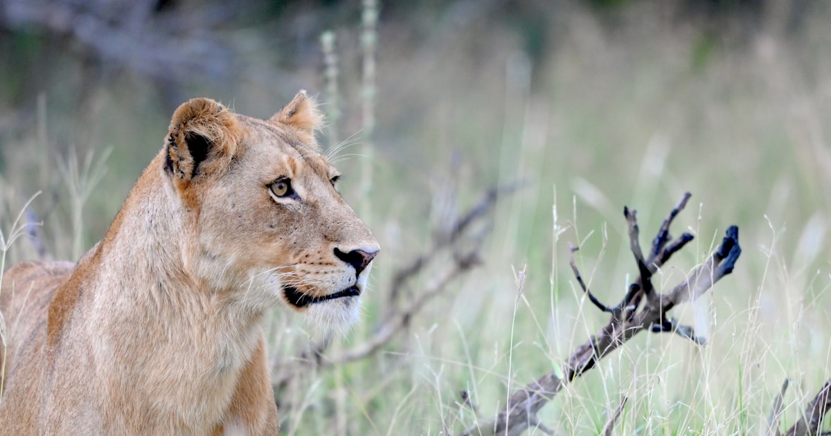 Photo : Unsplash / Unsplash