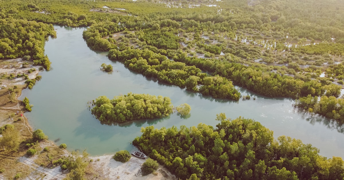 Photo : Collins Lesulie / Unsplash