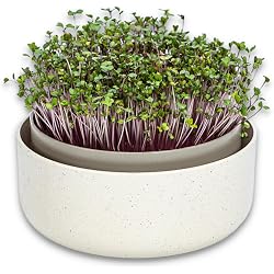 Kit de germination Plastia