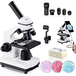 Microscope BEBANG 100X-2000X biologique
