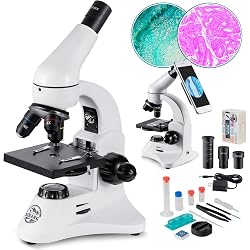 Microscope Bebang