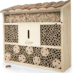 Hôtel à insectes wildlife home