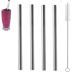 Pailles en inox ZhaoCo lot de 4 avec brosse