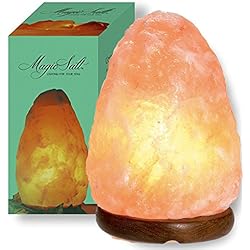 Lampe pierre de sel d’Himalaya Magic SALT Lighting FOR YOUR SOUL