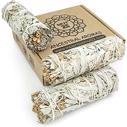Bâtonnet de sauge blanche MUT22 Salvia Apiana