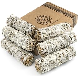 Bâtonnet de sauge blanche Mut22