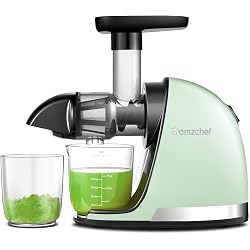 Extracteur de jus AMZCHEF horizontal à froid