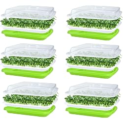 Kit de germination KAHEIGN 6 plateaux 32x26cm