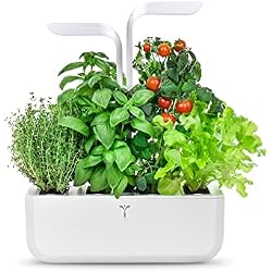 Jardin Potager Véritable