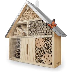 Hôtel à insectes Wildlife