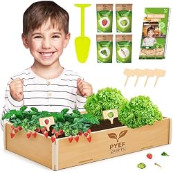 Kit jardinage enfant PYEF CRAFTS avec 4 variétés de graines