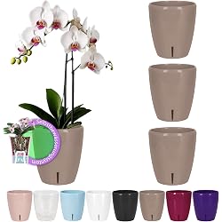 Pot à arrosage automatique Santino lot de 4 couleur sable