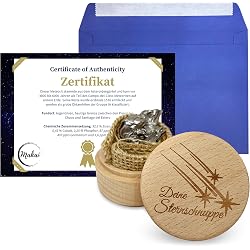 Morceau de météorite Makai avec certificat d'authenticité