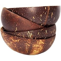 Bol en noix de coco Copaya