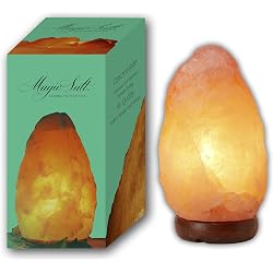Lampe pierre de sel d’Himalaya Lamare