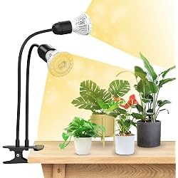 Lampe horticole SANSI 20W à spectre complet avec 2 ampoules