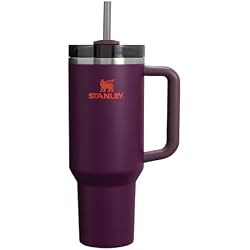 Gourde en inox Stanley