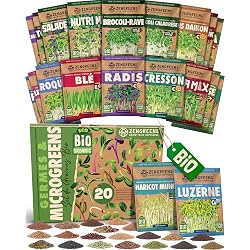 Kit de germination zengreens