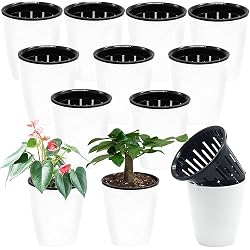 Lot de 12 pots à arrosage automatique Haawooky en plastique