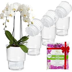 Pot à arrosage automatique Garten lux orchidées Ø13 cm