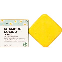 Shampoing solide