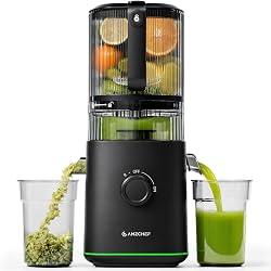 Extracteur de jus Amzchef