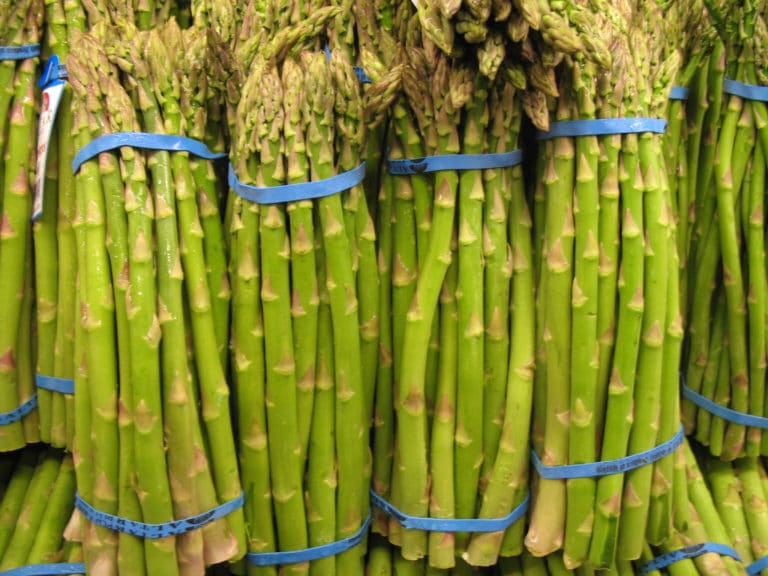 Asparagus (Asparagus)