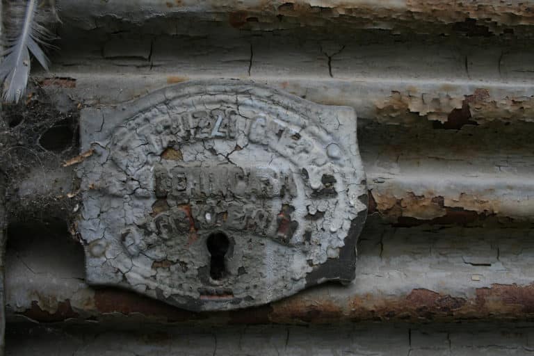 Benincasa (Benincasa)