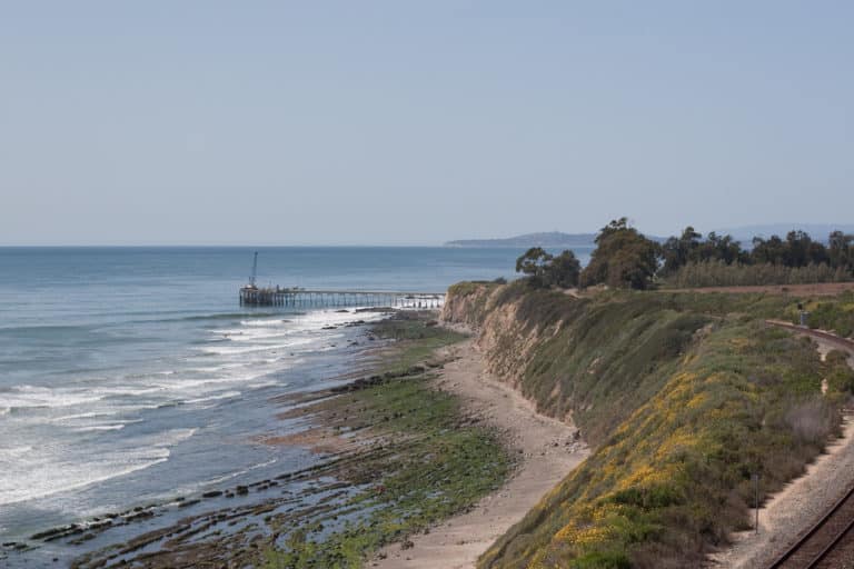 Carpenteria (Carpenteria)