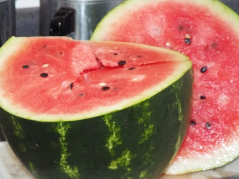 Citrullus (Citrullus)
